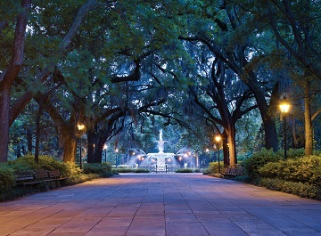 savannah.jpg